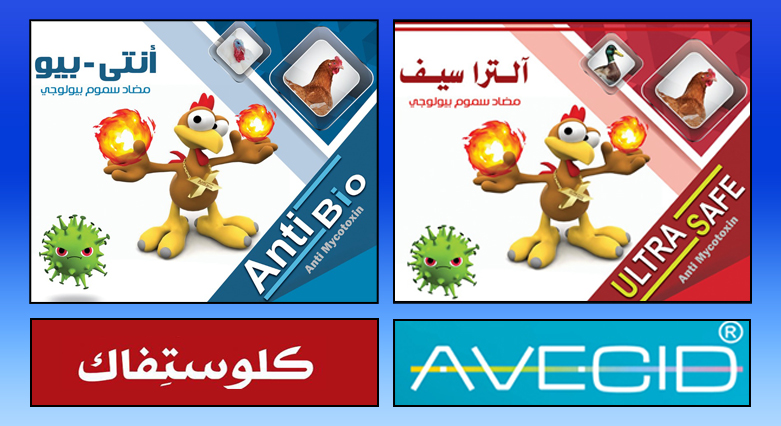 Products