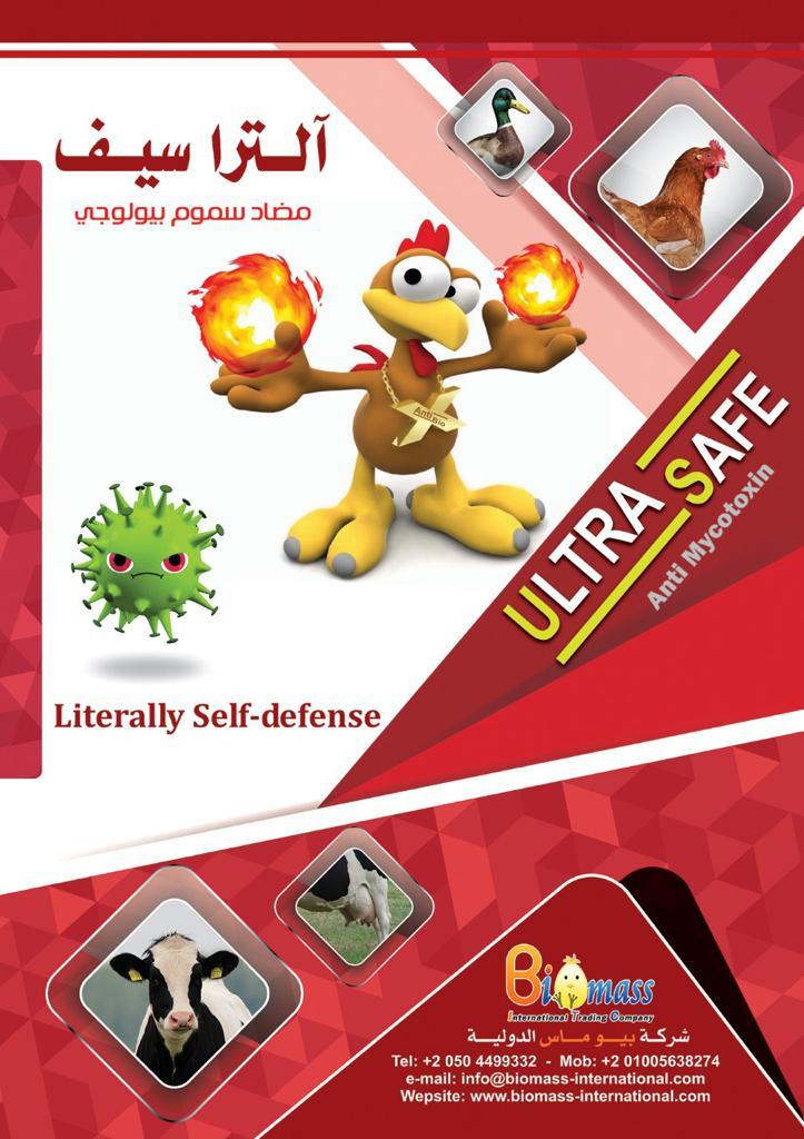 Responsive image
